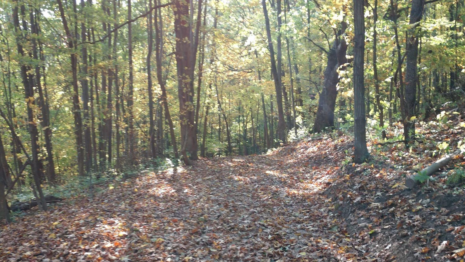 Lawmakers split on how to preserve funding for Knowles-Nelson