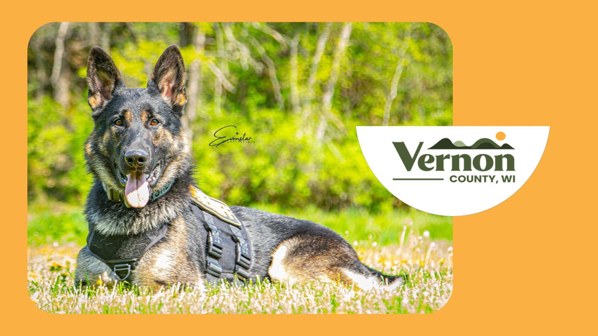 K-9 Run/Walk and Kids Fun Run in Vernon County happens today