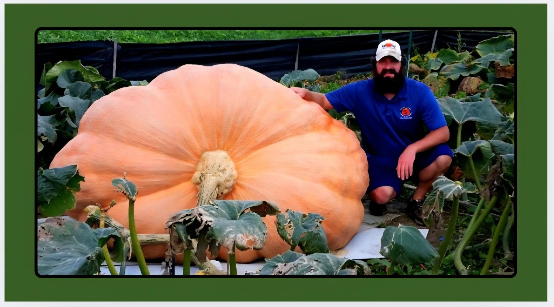 Wisconsin Growers are Setting Records with Giant Pumpkins